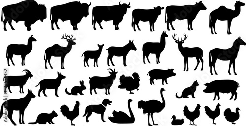 black animals silhouette vector on white background