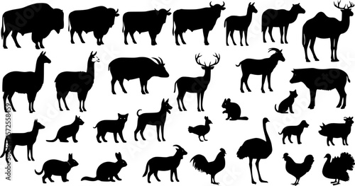 black animals silhouette vector on white background