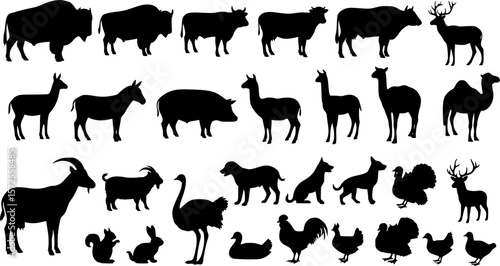 black animals silhouette vector on white background