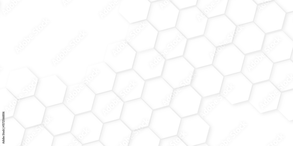 Fototapeta premium Abstract background with hexagon, modern abstract vector polygonal pattern. Futuristic honeycomb mosaic white background,white and gray hexagon honeycomb geometric copy space.