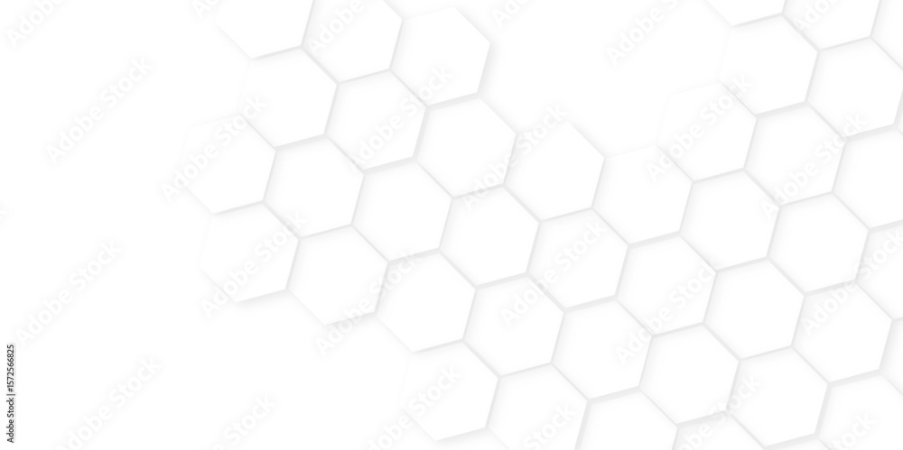 Abstract background with hexagon, modern abstract vector polygonal pattern. Futuristic honeycomb mosaic white background,white and gray hexagon honeycomb geometric copy space.