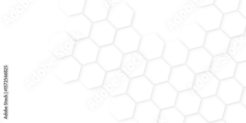 Abstract background with hexagon, modern abstract vector polygonal pattern. Futuristic honeycomb mosaic white background,white and gray hexagon honeycomb geometric copy space.