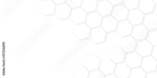 Abstract background with hexagon, modern abstract vector polygonal pattern. Futuristic honeycomb mosaic white background,white and gray hexagon honeycomb geometric copy space.