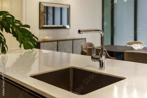 Принти на полотні Sleek chrome faucet over a modern undermount sink in a white quartz countertop, with a green Monstera Deliciosa plant blurred in the background