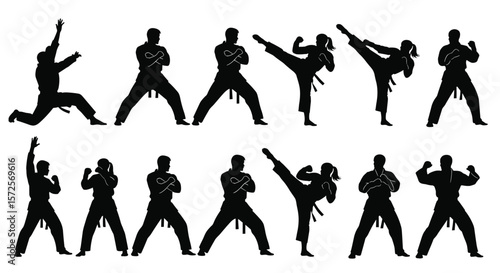 Martial arts silhouette in dynamic action, showcasing powerful kicks, stances, techniques, self-defense moves, sports posture, black belt fitness form