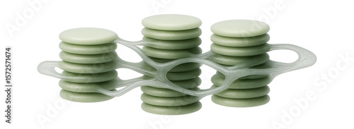 Electron micrograph of grana stacks with interconnected thylakoid membranes