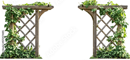 Two weathered wooden arbors, adorned with climbing plants