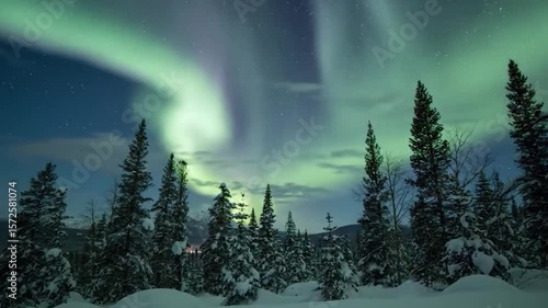 Aurora Borealis Over Snowy Forest
