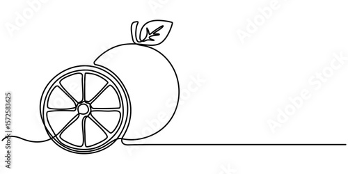 Orange continuous single line drawing. One line art orange fruit vector illustration, Continuous one line drawing of orange fruit, Orange fruit in continuous line art drawing style, Single outline. 