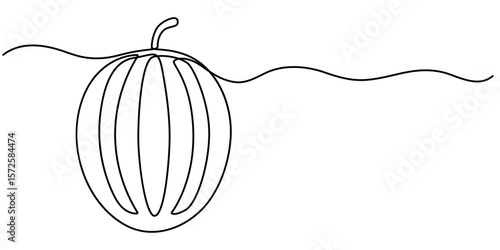 Watermelon continuous one line drawing, fruit vector illustration, watermelon fruit continuous line vector illustration, Fresh watermelon line art outline, Continuous one line drawing. Watermelon. 