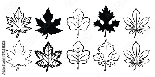A versatile collection of maple leaf icons featuring a single animal illustration perfect for autumn themed designs nature projects or educational materials available in CMYK