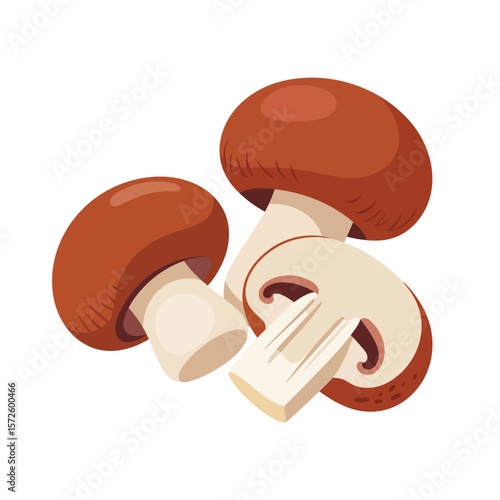  Fresh brown mushrooms with one sliced in half showing gills