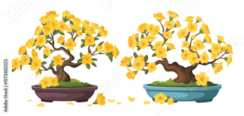 Two Yellow Blossom Bonsai Trees in Pots