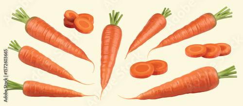 Fresh Carrots and Carrot Slices