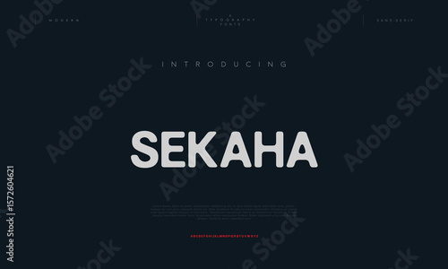 Swkaha  Font Calligraphy Logotype Script Brush Font Type Font lettering handwritten
