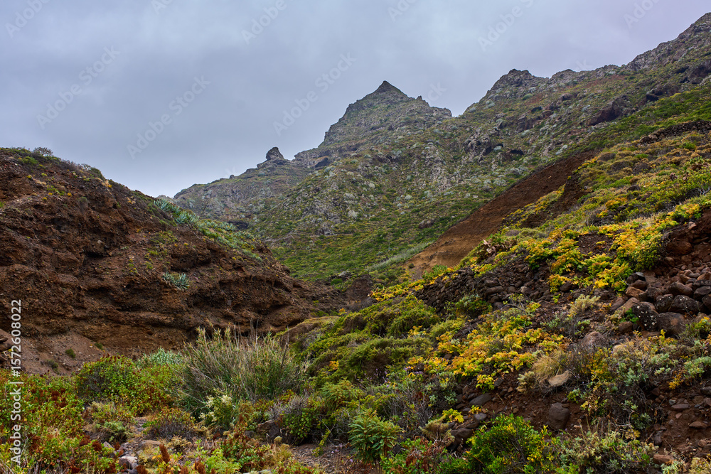 Fototapeta premium Mist over volcanic valley in Anaga