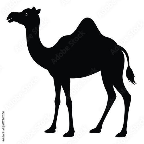 Camel Silhouette