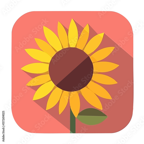 My Simple flat 2D illustration of a sunflower isolated on a white background, vector 2D design, icon, flat 2d illustration art, Eps painting, Vector set