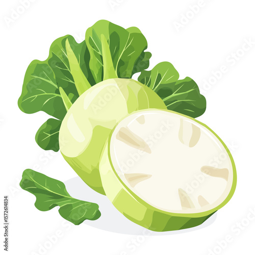 My Simple flat 2D illustration of an icon sliced kohlrabi isolated on a white background, vector 2D design, icon, flat 2d illustration art, Eps painting, Vector collection