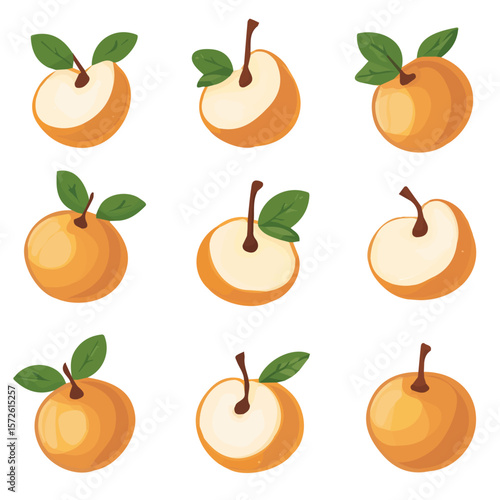 My Simple flat 2D illustration of a sapodilla fruits set isolated on a white background, vector 2D design, icon, flat 2d illustration art, Eps painting, Vector set
