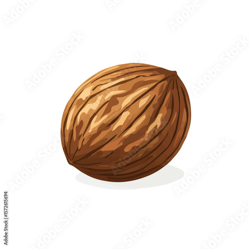 My Simple flat 2D illustration of an icon nutmeg whole isolated on a white background, vector 2D design, icon, flat 2d illustration art, Eps painting, Vector set