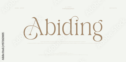 Abiding Elegant Lettering vintage Retro Designs. Typography decoration fonts for branding, wedding, logos. vector illustration
