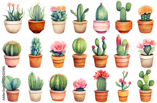 A collection of 20 different potted minimal cacti or cactus and succulent plants in various shapes, sizes, and colors, each in distinct pots
