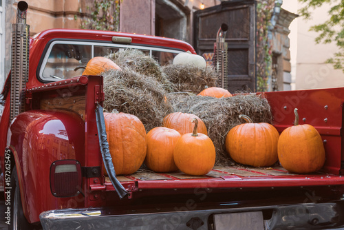 A red pickup truck loaded with pumpkins and haystacks. Pumpkins in the trunk of the car. The concept of farming, harvesting, Halloween