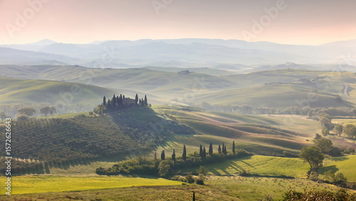 Hazy sunrise on Val d'Orcia Valley, podere -farmsteads- among rolling hills, green cereal fields and orchards. San Quirico d'Orcia-Tuscany-Italy-014