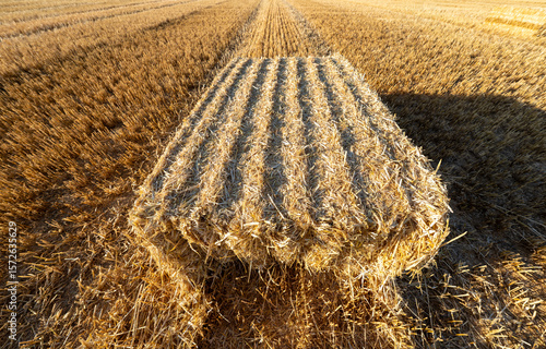 Hay bales on the field after harvest