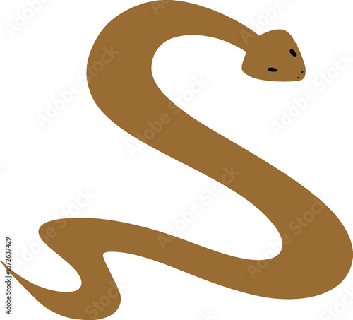 snake on a black background