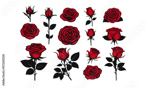 A collection of red roses and rose buds in various stages of blooming