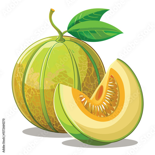 Fresh Cantaloupe Slice