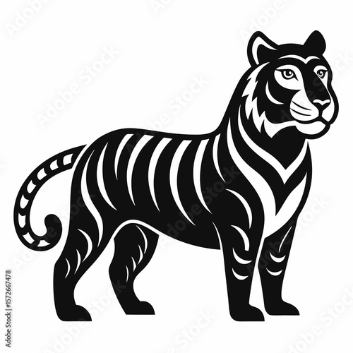 zebra vector illustration