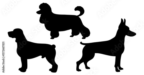 Vector set of different dog breed silhouettes on transparent background. Includes various canine shapes in side view. Perfect for pet-themed designs, icons, and infographics.