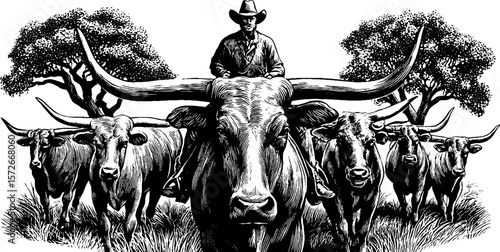 Cowboy herding longhorn cattle - vintage black and white engraving illustration