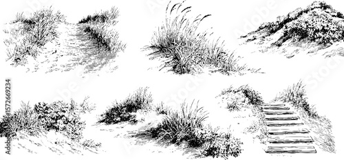 Vintage coastal landscape sketch set: dunes and pathways for retro design projects