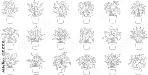 Collection of various potted houseplants in a simple line drawing style