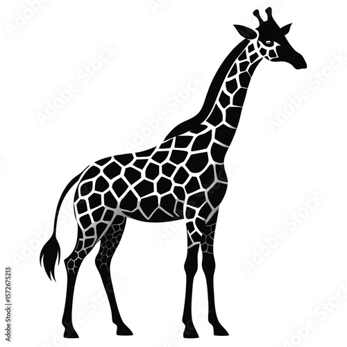 Silhouette of a giraffe