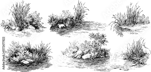 Vintage black and white engravings of riverside landscapes for design and print