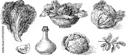 Vintage vegetable sketch collection featuring lettuce and oil bottle for kitchen decor