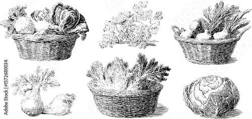 Vintage vegetable basket sketch collection for kitchen decor and food themes