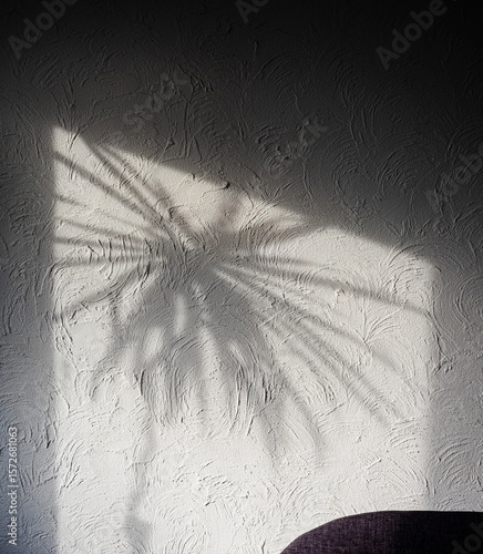 Tableau sur toile Soft shadows of a palm leaf create intricate patterns on a textured wall in a co