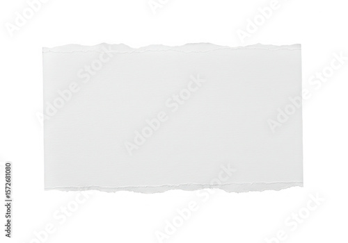 Wallpaper Mural A blank white paper note with a torn edge sits isolated on a transparent background Torontodigital.ca