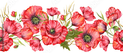 Seamless Poppy Garland with Flowers and Leaves. Botanical Seamless Horizontal  Background. Poppy Watercolor Illustration. Red Poppy Flower Design. Poppies garland seamless. Poppy Border Frame