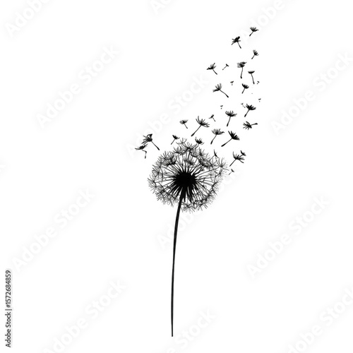 Wallpaper Mural Dark dandelion seed head Torontodigital.ca