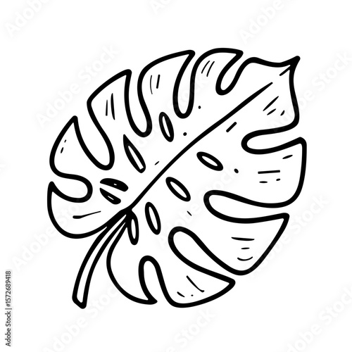 Doodle sketch vector illustration of a Monstera leaf on transparent background for tropical and botanical design