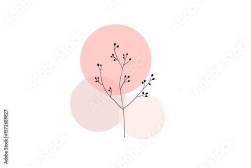 Minimalist botanical branch illustration with black line art and abstract pink circles on white background