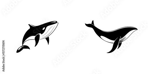 Silhouette pictogram set featuring whales showing different body postures and movements in a minimalist style