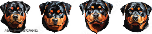 A set of Rottweiler Dog Faces Clipart, Different types flat vector illustration.